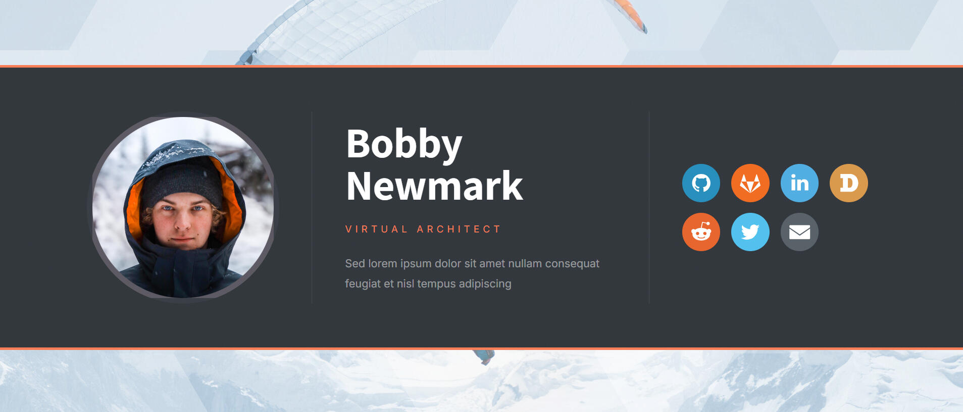 Profile Demo Profile Demo